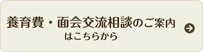 養育費相談